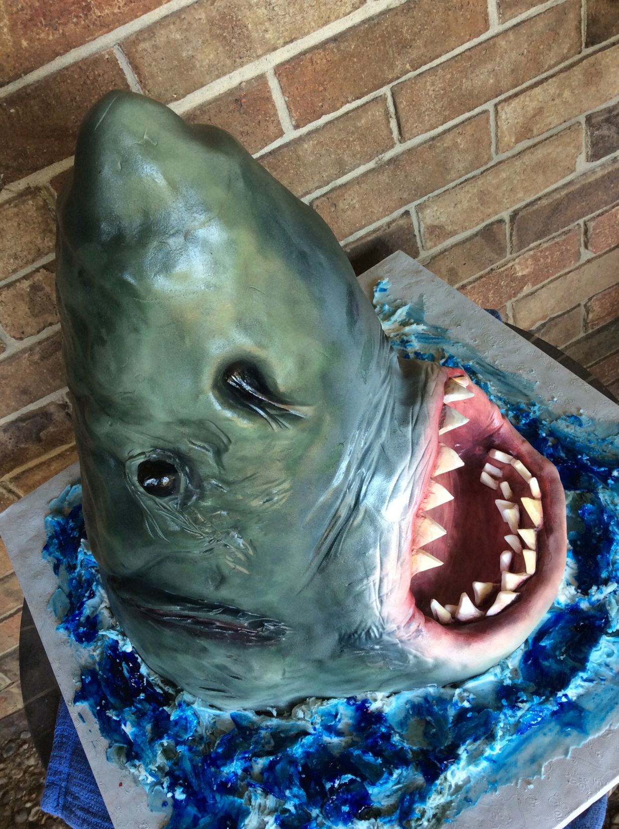 Sugar Lily Bakery & Floral shark cake